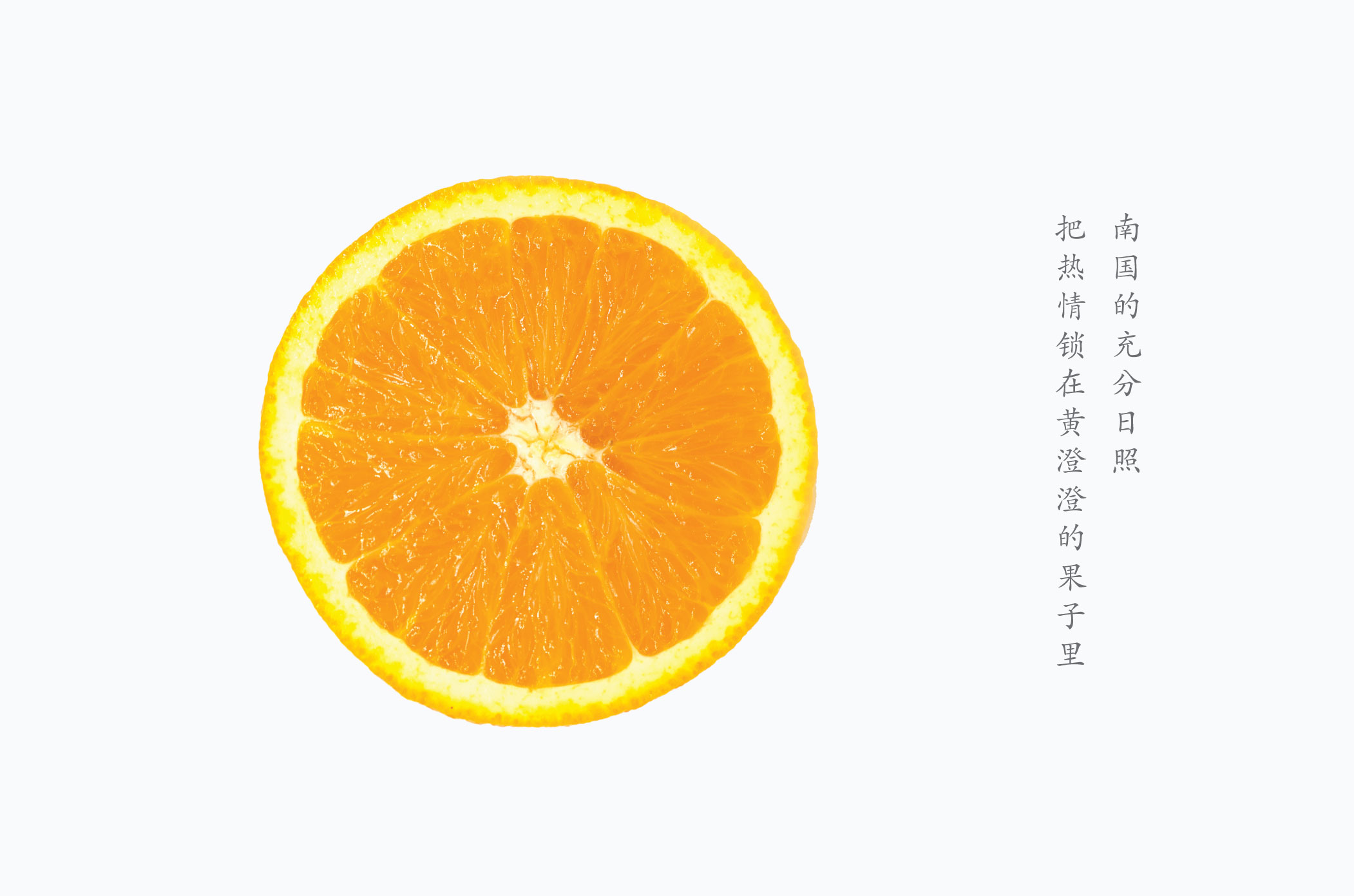 日光香橙 Orange Cool Cheese 08